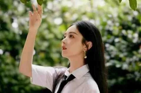 娱乐圈吃瓜古装顶流